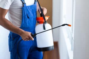 DIY Vs. Professional Pest Control: Pros & Cons