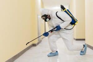 Pest control for new homes