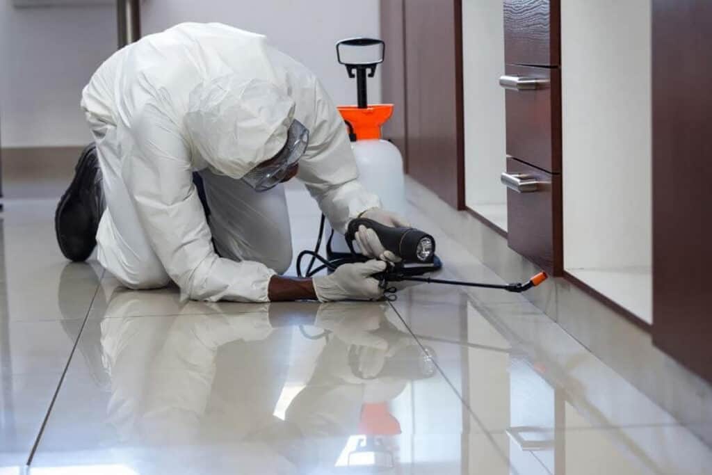 pest Inspection