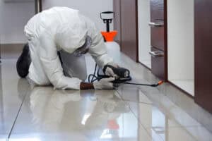 pest Inspection