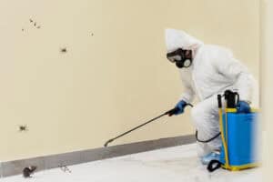 Pest Control