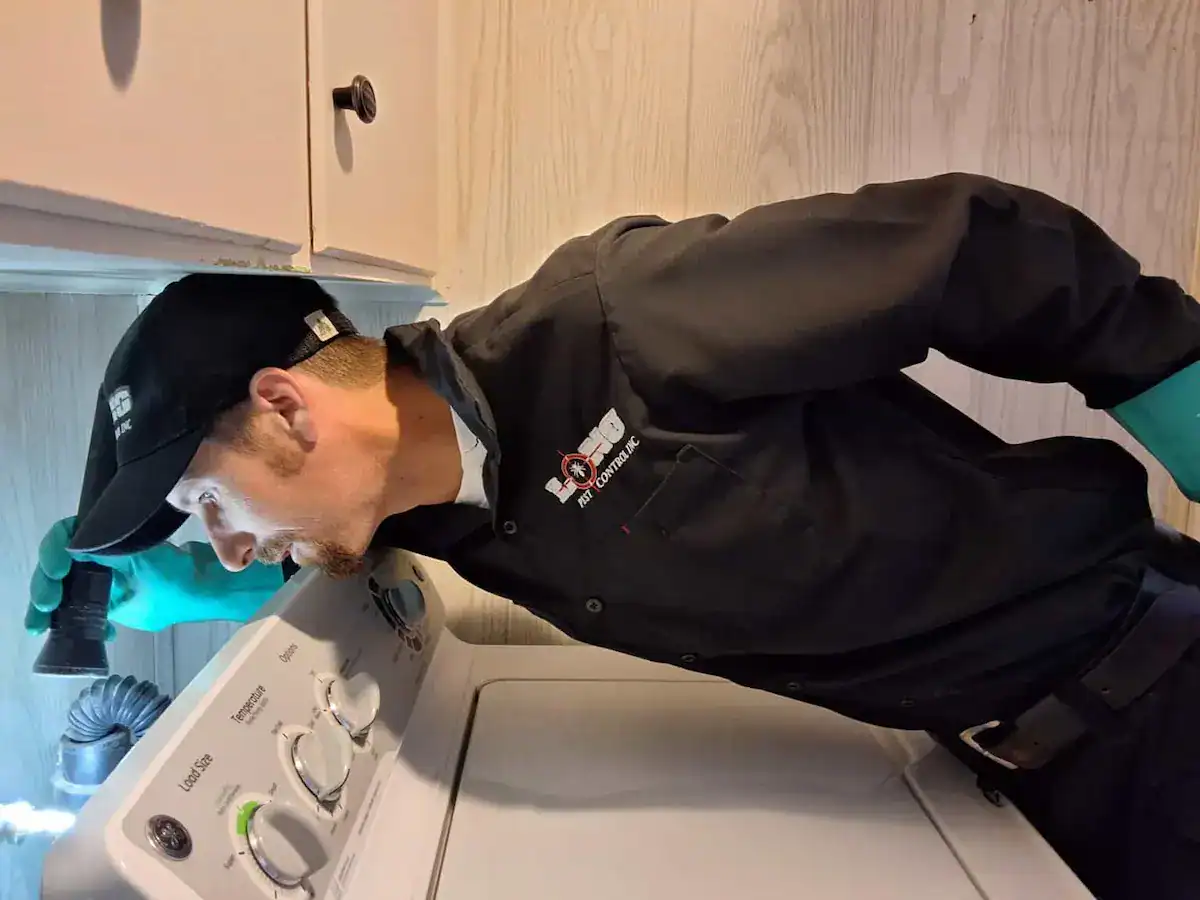 Pest control technician inspecting behind a washing machine.