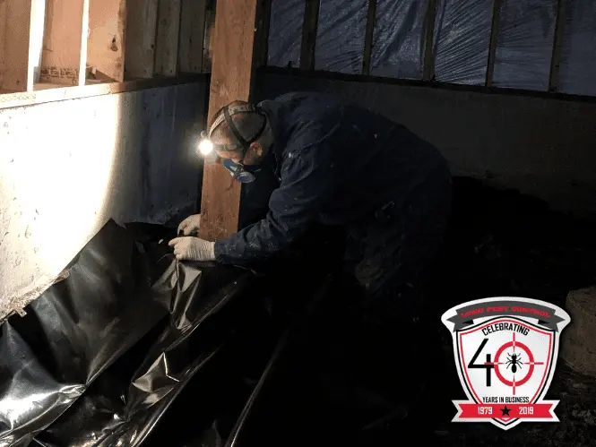 Pest control technician performing crawl space pest treatment