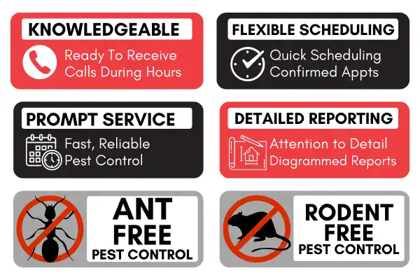 Pest control services featuring flexible scheduling, prompt service, detailed reporting, ant control, and rodent control