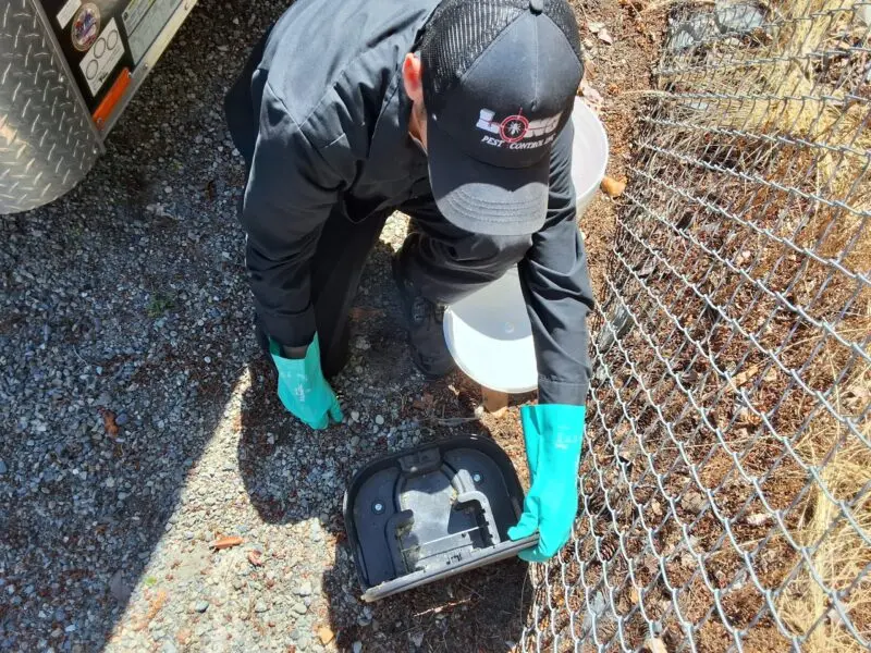 Pest control technician inspecting a rodent bait station